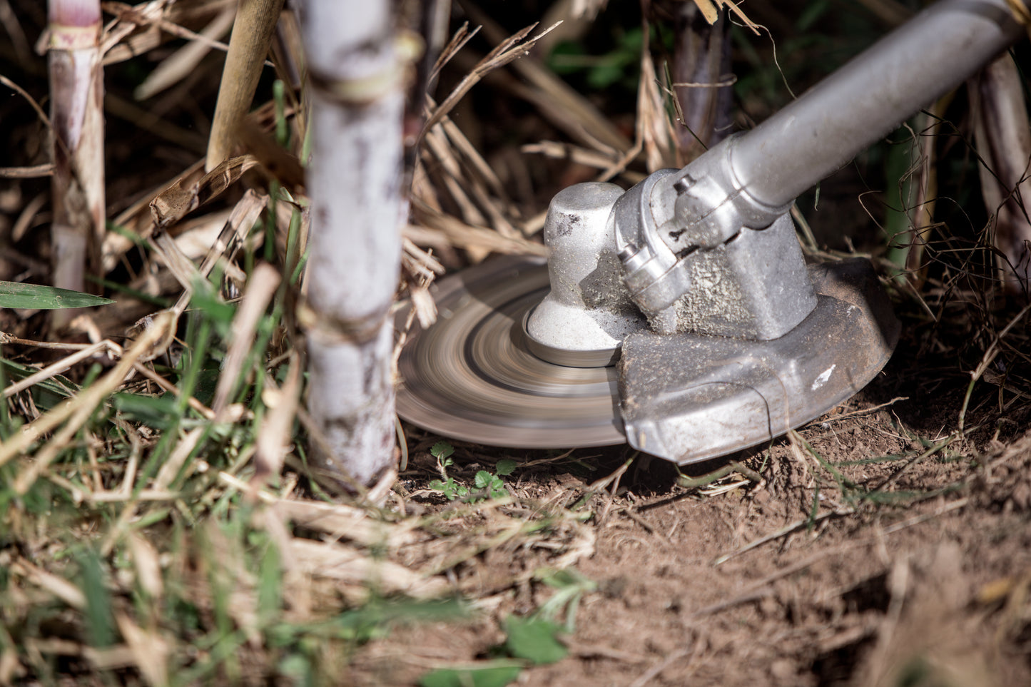 Husqvarna Forest & Garden - 967637905 - 545FR Brush Cutter