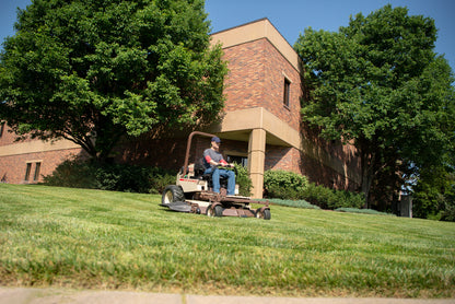 Grasshopper - 534188 - 440, 61"