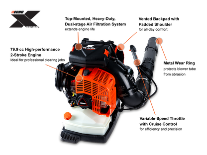 [enrich:echo-pb-9010t:1] ECHO PB-9010T Blower