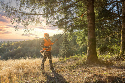 STIHL - HT 135-Z Pole Saw - Pole pruner,35cm/14",61PMM3 - 4182-200-0201-US photo 5