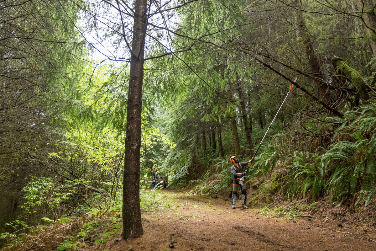 STIHL - HT 135-Z Pole Saw - Pole pruner,35cm/14",61PMM3 - 4182-200-0201-US photo 7