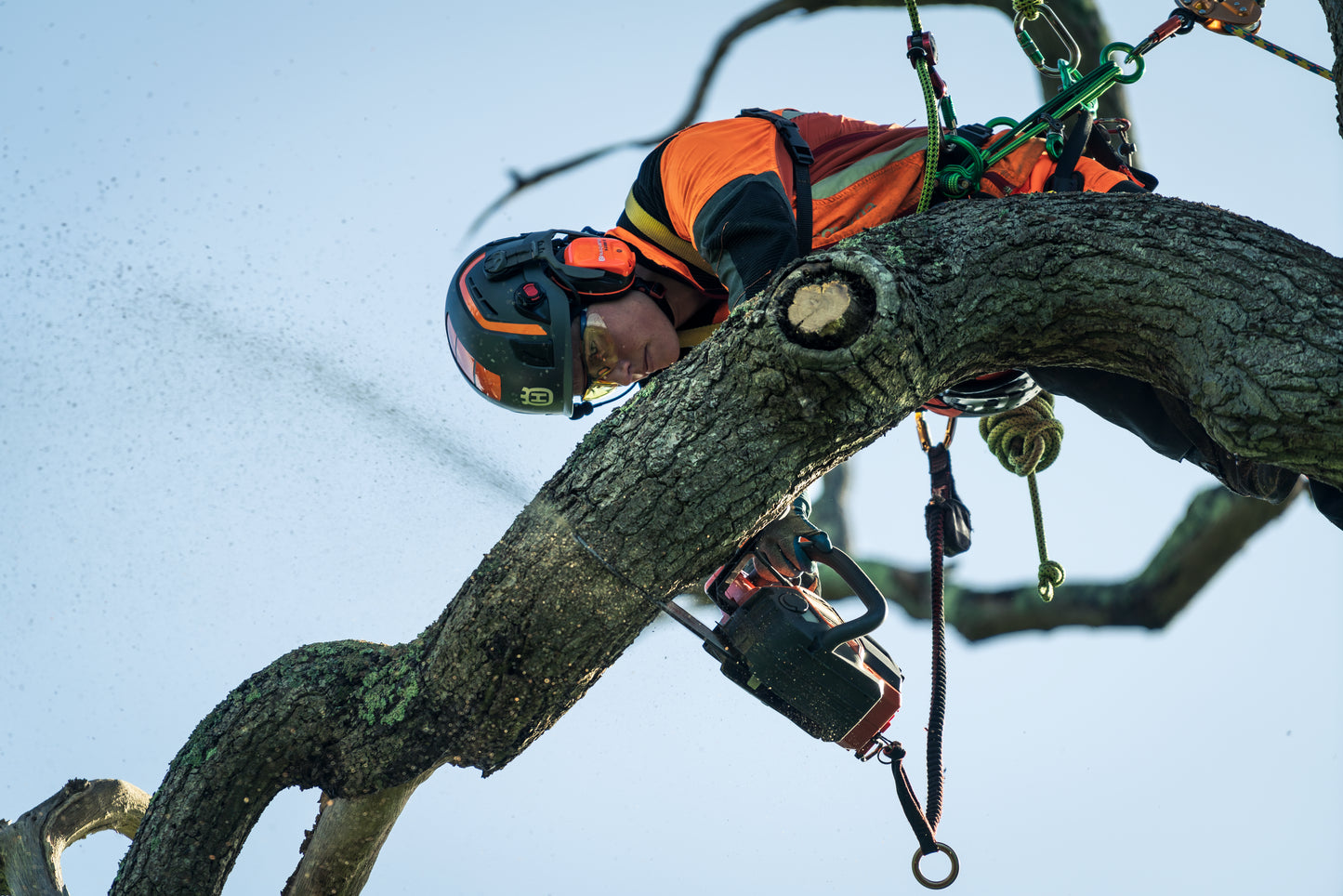 Husqvarna Forest & Garden - 967863714 - T540i XP Chainsaw, 14"