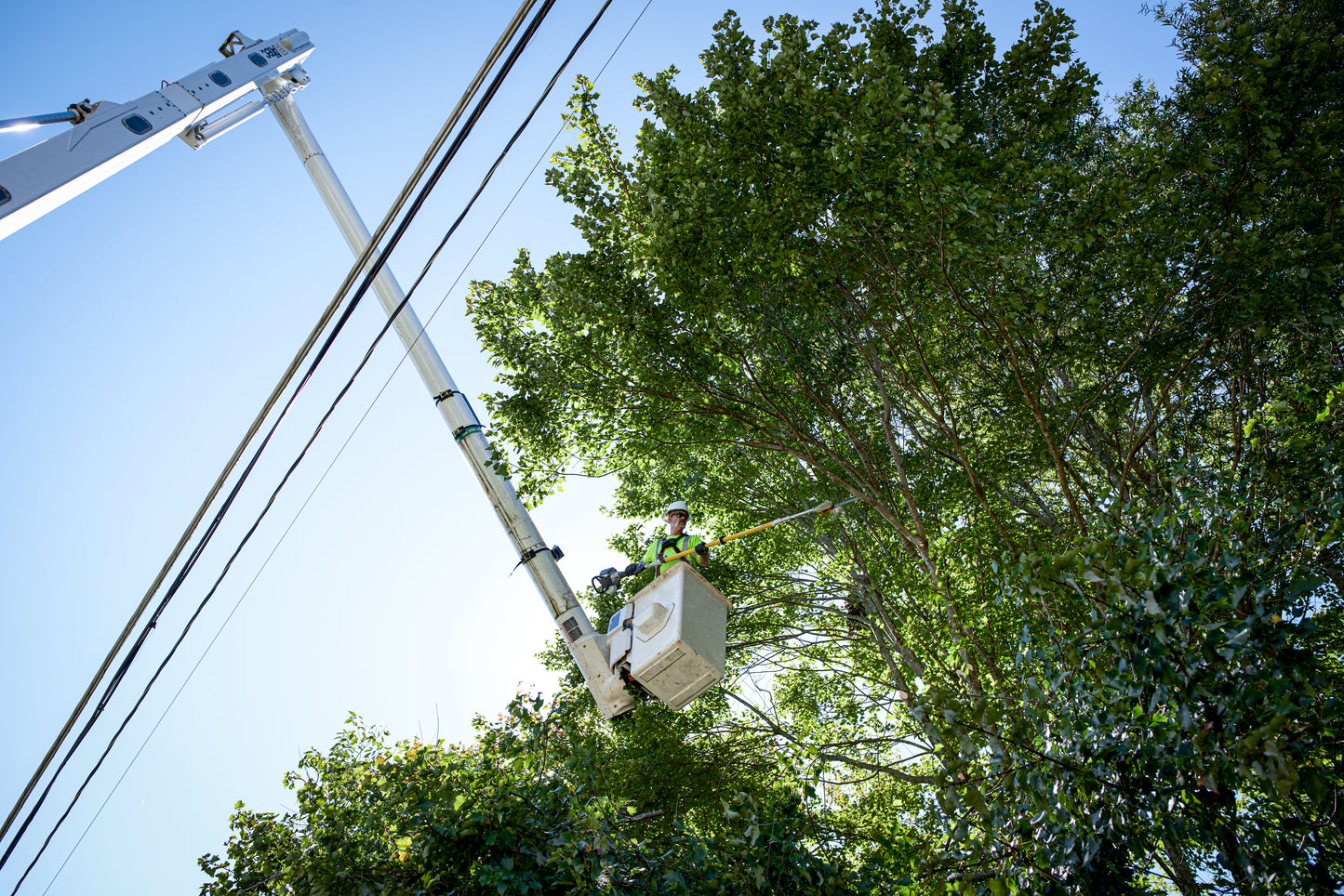 Husqvarna Forest & Garden - 970478401 - 525DEPS MADSAW Pole Saw