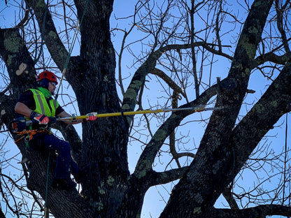 Husqvarna Forest & Garden - 970478401 - 525DEPS MADSAW Pole Saw