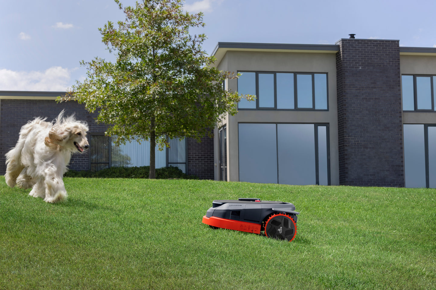 Segway Navimow - X315N - Robotic Lawn Mower