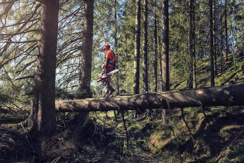 Husqvarna Forest & Garden - 966733182 - 572 XP Chainsaw, 32" XT-Light