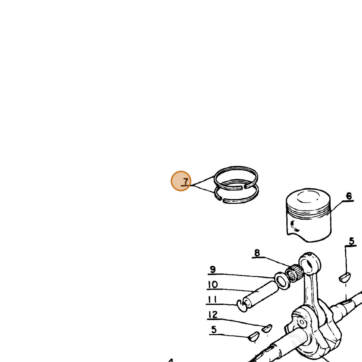ECHO part 10001100230 — IPL diagram snippet (6x zoom, amber highlight)