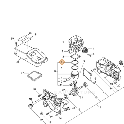 ECHO part 10001132431 — IPL diagram snippet (6x zoom, amber highlight)