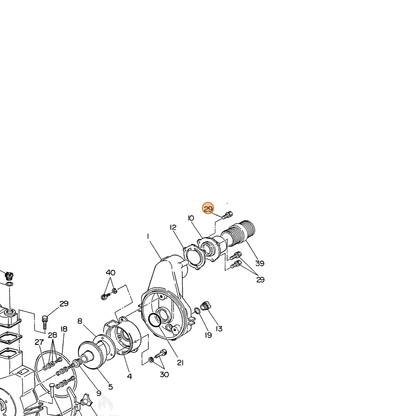 ECHO part 100011408250 — IPL diagram snippet (6x zoom, amber highlight)