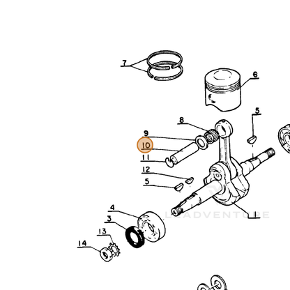 ECHO part 10001300230 — IPL diagram snippet (6x zoom, amber highlight)