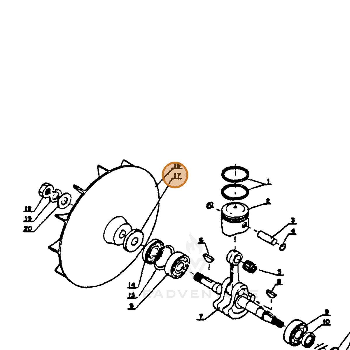 ECHO part 10013210210 — IPL diagram snippet (6x zoom, amber highlight)
