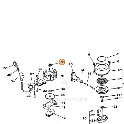ECHO part 10014342030 — IPL diagram snippet (6x zoom, amber highlight)