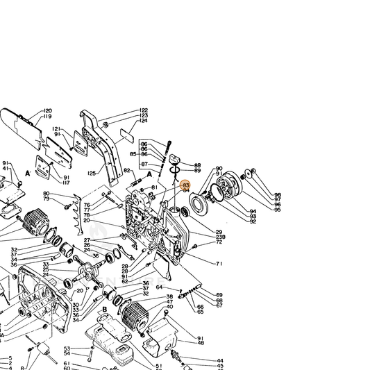 ECHO part 10025116130 — IPL diagram snippet (6x zoom, amber highlight)