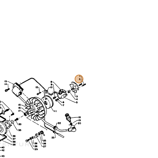 ECHO part 10025703430 — IPL diagram snippet (6x zoom, amber highlight)