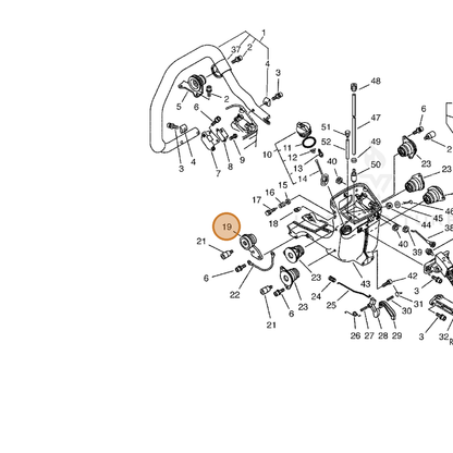 ECHO part 10091716430 — IPL diagram snippet (6x zoom, amber highlight)