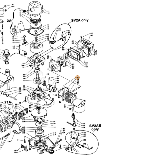 ECHO part 10101004631 — IPL diagram snippet (6x zoom, amber highlight)