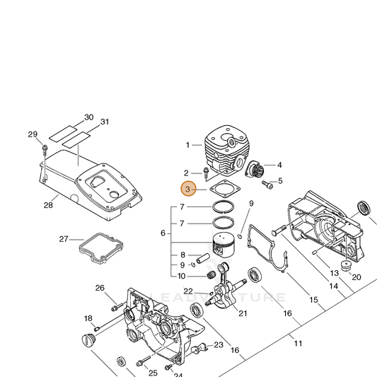 ECHO part 10101032431 — IPL diagram snippet (6x zoom, amber highlight)