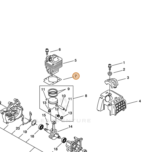 ECHO part 10101056030 — IPL diagram snippet (6x zoom, amber highlight)
