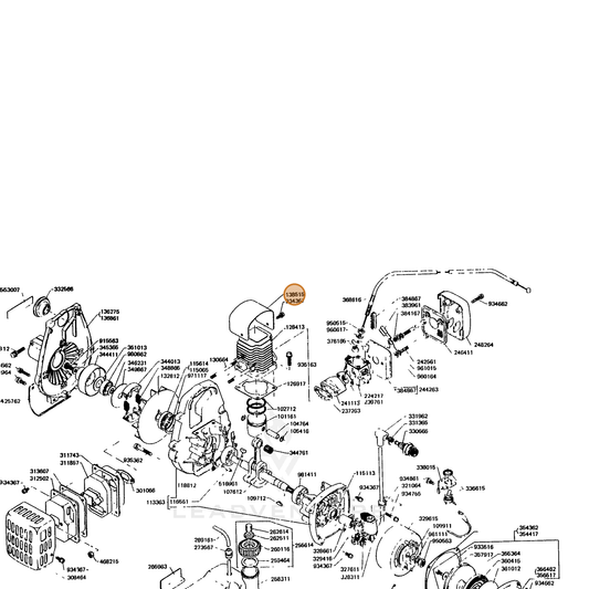 ECHO part 10151405020 — IPL diagram snippet (6x zoom, amber highlight)