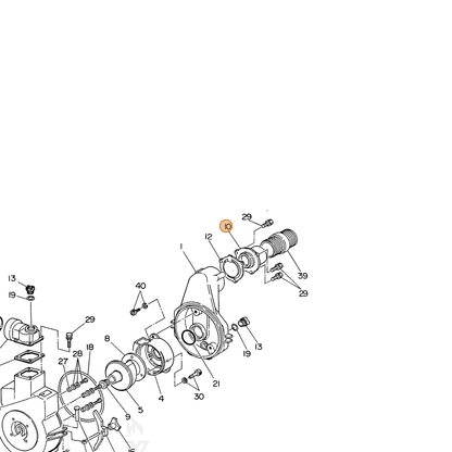 ECHO part 104810000065 — IPL diagram snippet (6x zoom, amber highlight)