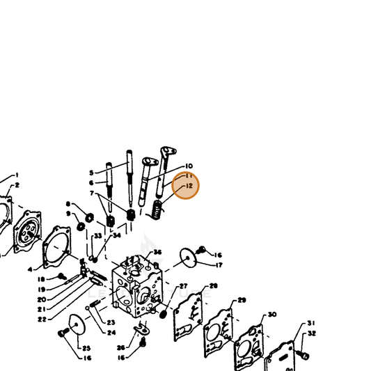 ECHO part 12311312430 — IPL diagram snippet (6x zoom, amber highlight)