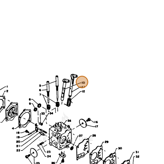 ECHO part 12313112430 — IPL diagram snippet (6x zoom, amber highlight)