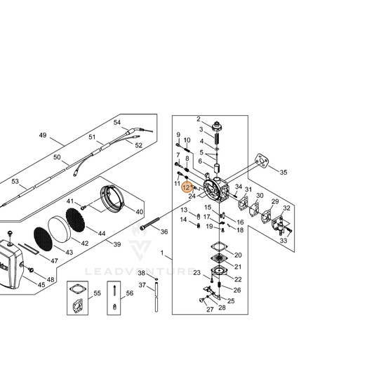 ECHO part 12435521330 — IPL diagram snippet (6x zoom, amber highlight)