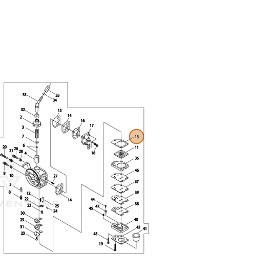 ECHO part 12435849930 — IPL diagram snippet (6x zoom, amber highlight)