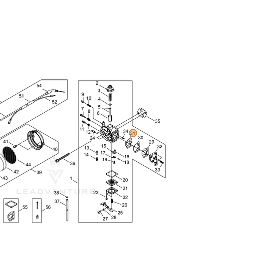 ECHO part 12436321330 — IPL diagram snippet (6x zoom, amber highlight)