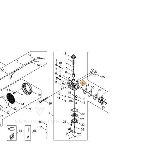 ECHO part 12436721330 — IPL diagram snippet (6x zoom, amber highlight)