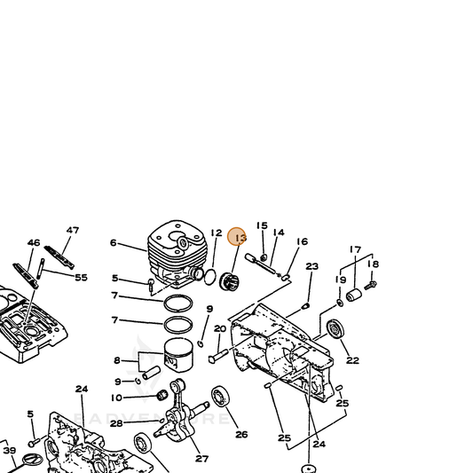 ECHO part 13051032430 — IPL diagram snippet (6x zoom, amber highlight)