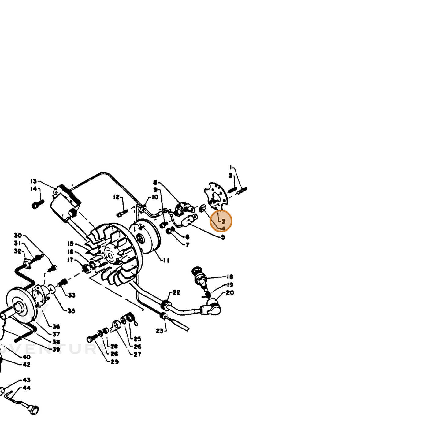 ECHO part 15613210131 — IPL diagram snippet (6x zoom, amber highlight)