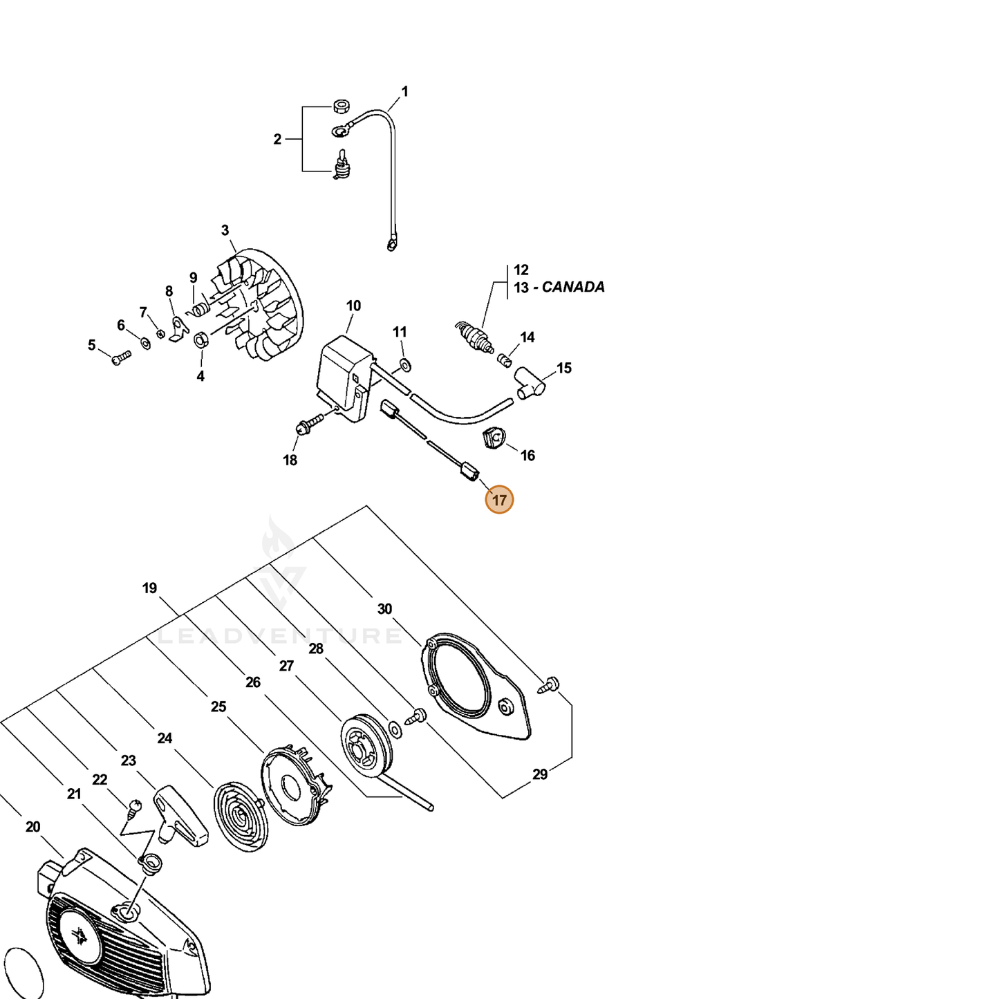 ECHO part 16201039431 — IPL diagram snippet (6x zoom, amber highlight)
