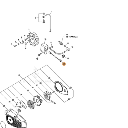 ECHO part 16201039431 — IPL diagram snippet (6x zoom, amber highlight)
