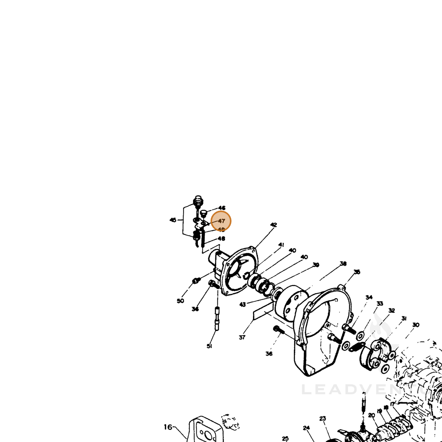ECHO part 16611007131 — IPL diagram snippet (6x zoom, amber highlight)