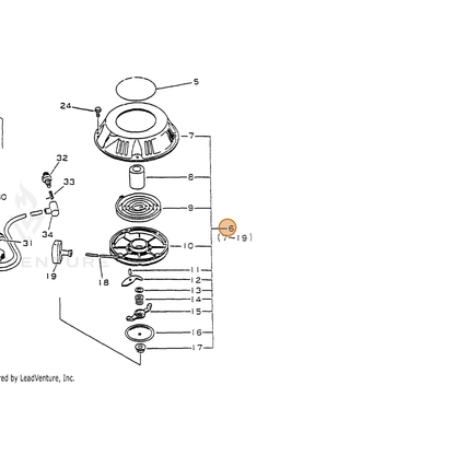 ECHO part 17720011621 — IPL diagram snippet (6x zoom, amber highlight)
