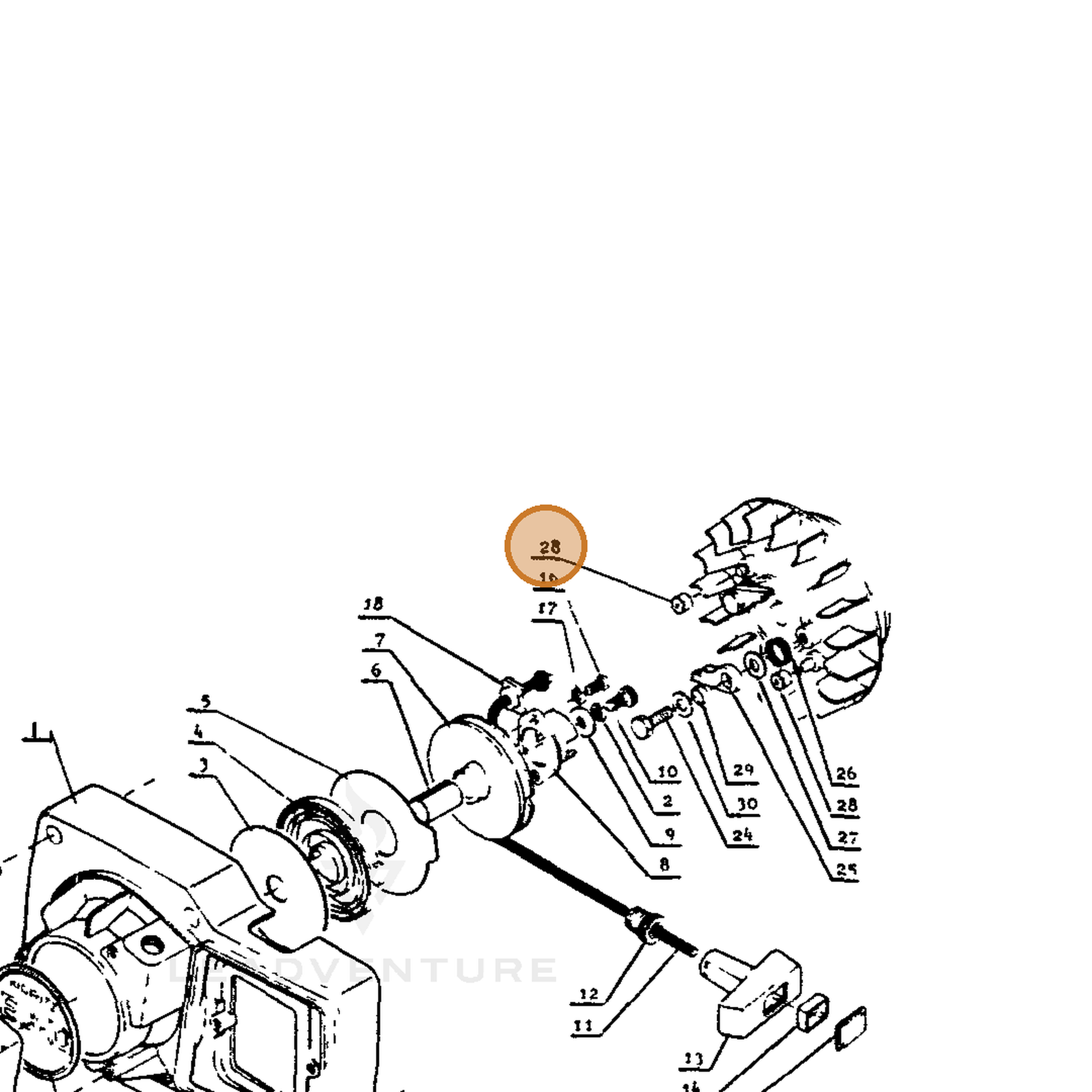 ECHO part 17724502830 — IPL diagram snippet (6x zoom, amber highlight)