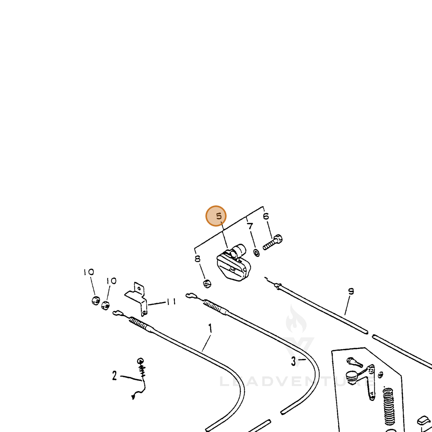 ECHO part 17810011620 — IPL diagram snippet (6x zoom, amber highlight)