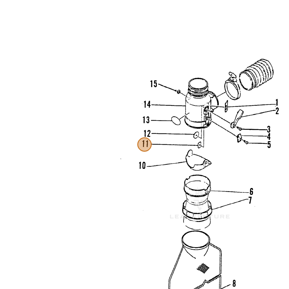 ECHO part 21501601860 — IPL diagram snippet (6x zoom, amber highlight)