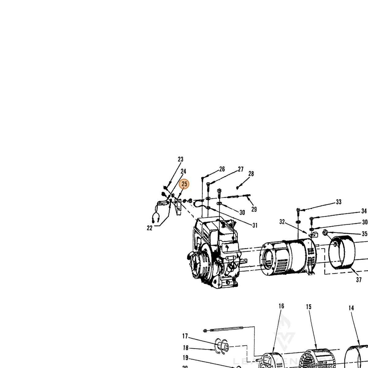 ECHO part 240034116 — IPL diagram snippet (6x zoom, amber highlight)