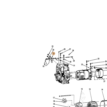ECHO part 240034116 — IPL diagram snippet (6x zoom, amber highlight)