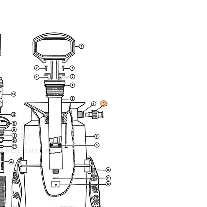 ECHO part 283805806 — IPL diagram snippet (6x zoom, amber highlight)