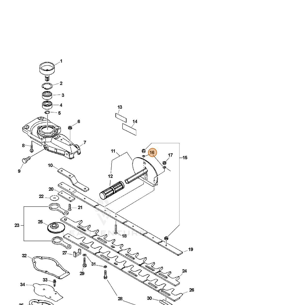 ECHO part 30021700610 — IPL diagram snippet (6x zoom, amber highlight)
