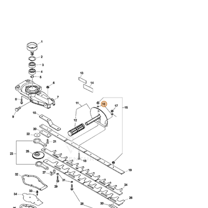 ECHO part 30021700610 — IPL diagram snippet (6x zoom, amber highlight)