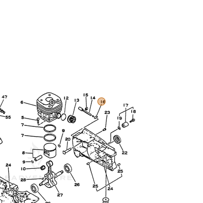 ECHO part 43301402830 — IPL diagram snippet (6x zoom, amber highlight)