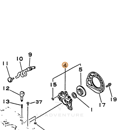 ECHO part 43700037530 — IPL diagram snippet (6x zoom, amber highlight)