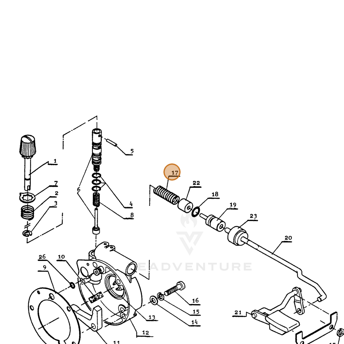 ECHO part 43711100231 — IPL diagram snippet (6x zoom, amber highlight)
