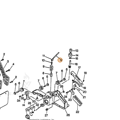ECHO part 43721116431 — IPL diagram snippet (6x zoom, amber highlight)