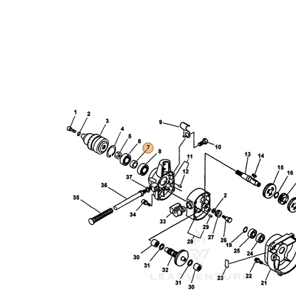ECHO part 60404405560 — IPL diagram snippet (6x zoom, amber highlight)
