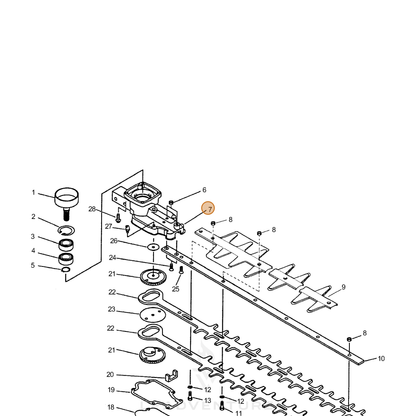 ECHO part 61041006561 — IPL diagram snippet (6x zoom, amber highlight)